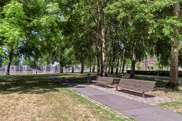 Foto bankjes met pad park.jpeg